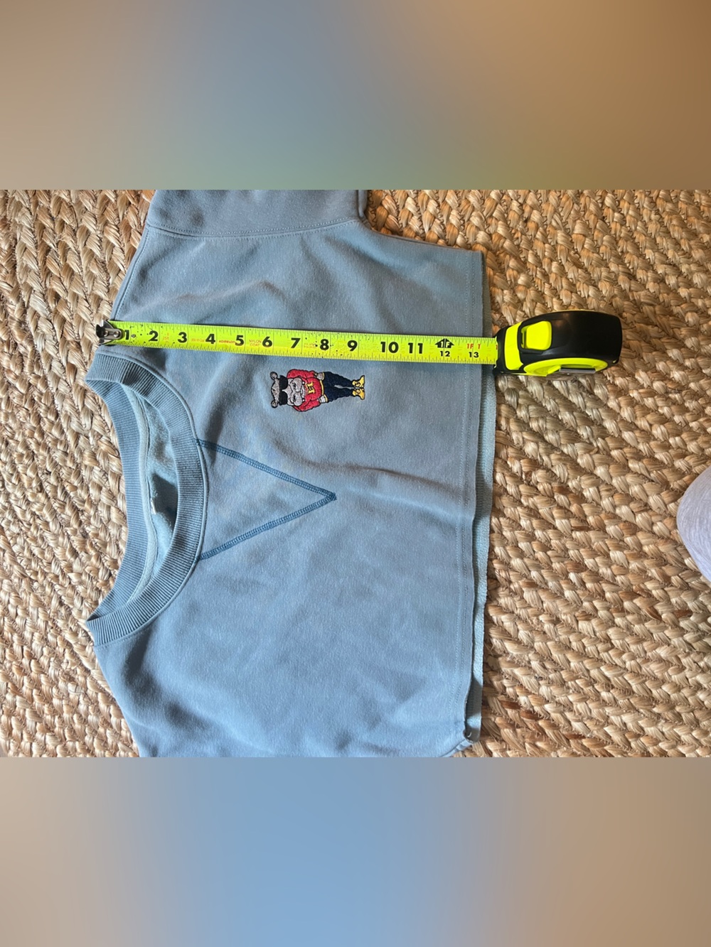 The Fly Hippo Collection Blue Cropped Sweatshirt Size Small - Picture 8 of 9